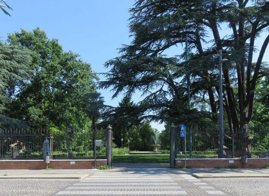 Per il lustro del conte: i grandi cedri del Libano nel parco Massari